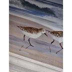 Jacqueline Penney Coastal Shorebirds Lighthouse Framed Art Signed