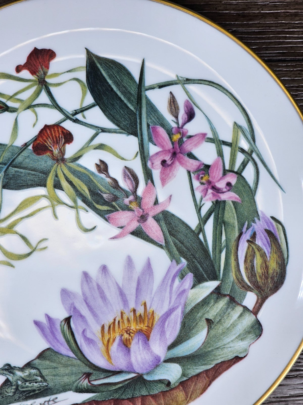 Franklin Mint – Sierra Club “Wildflowers of the Florida Everglades” Plate