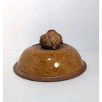 Ellen Evans Terrafirma Pottery Lid 1998 Garlic Brown Stoneware