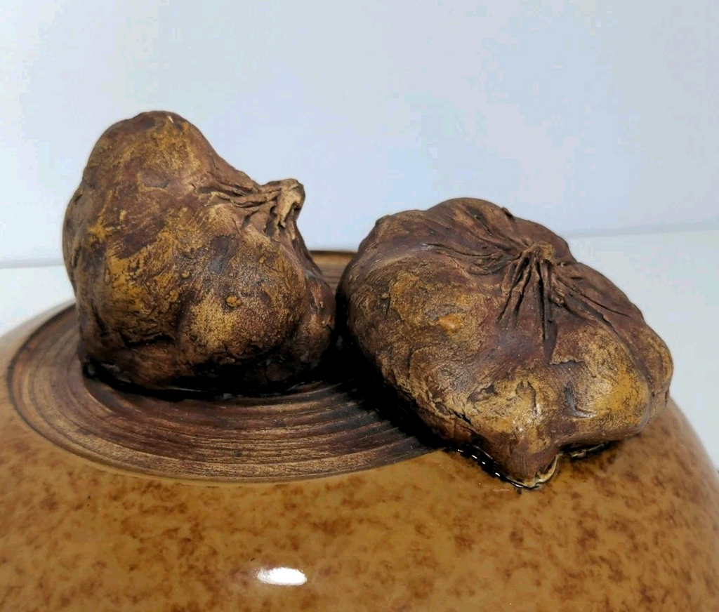 Terrafirma Ellen Evans Pottery 1998 Lid Garlic Brown Glaze Ceramic Covered Bowl