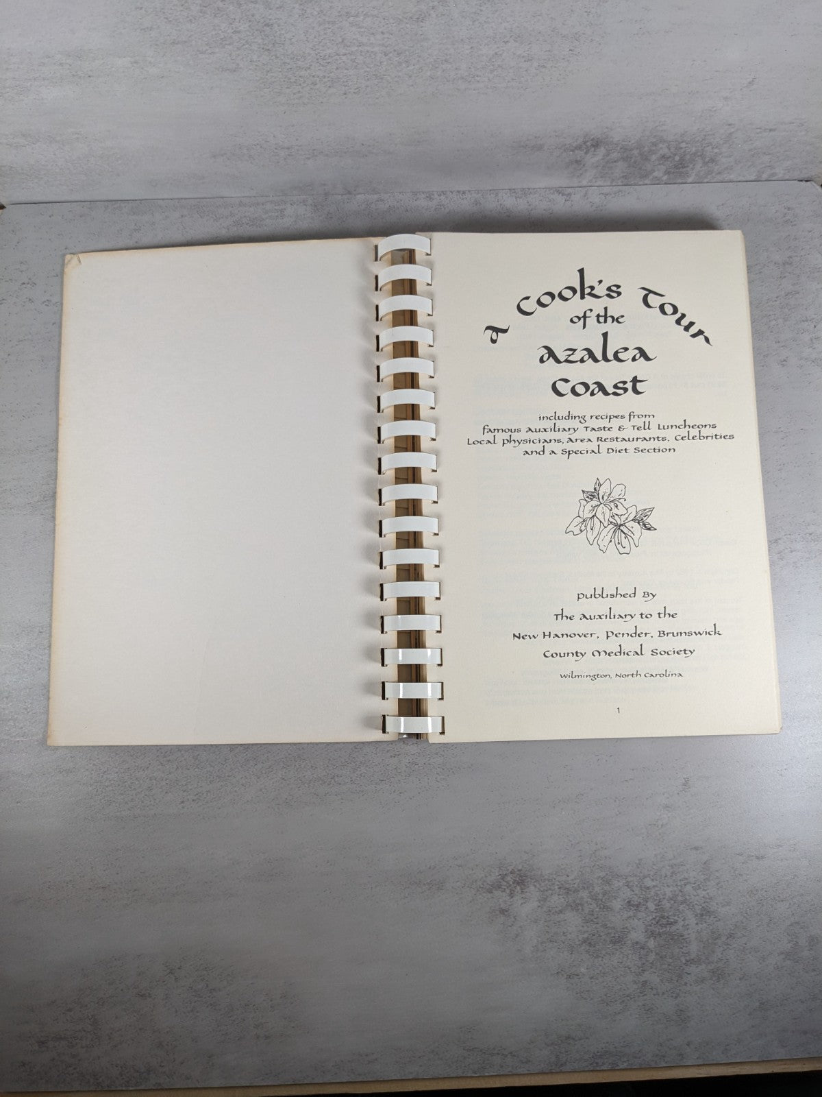 Vintage 1985 A Cook’s Tour of the Azalea Coast Cookbook Wilmington NC