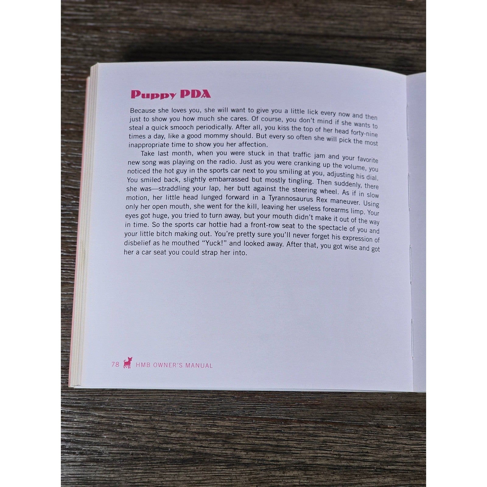 The High Maintenance Btch Owner's Manual Humor Book Gift