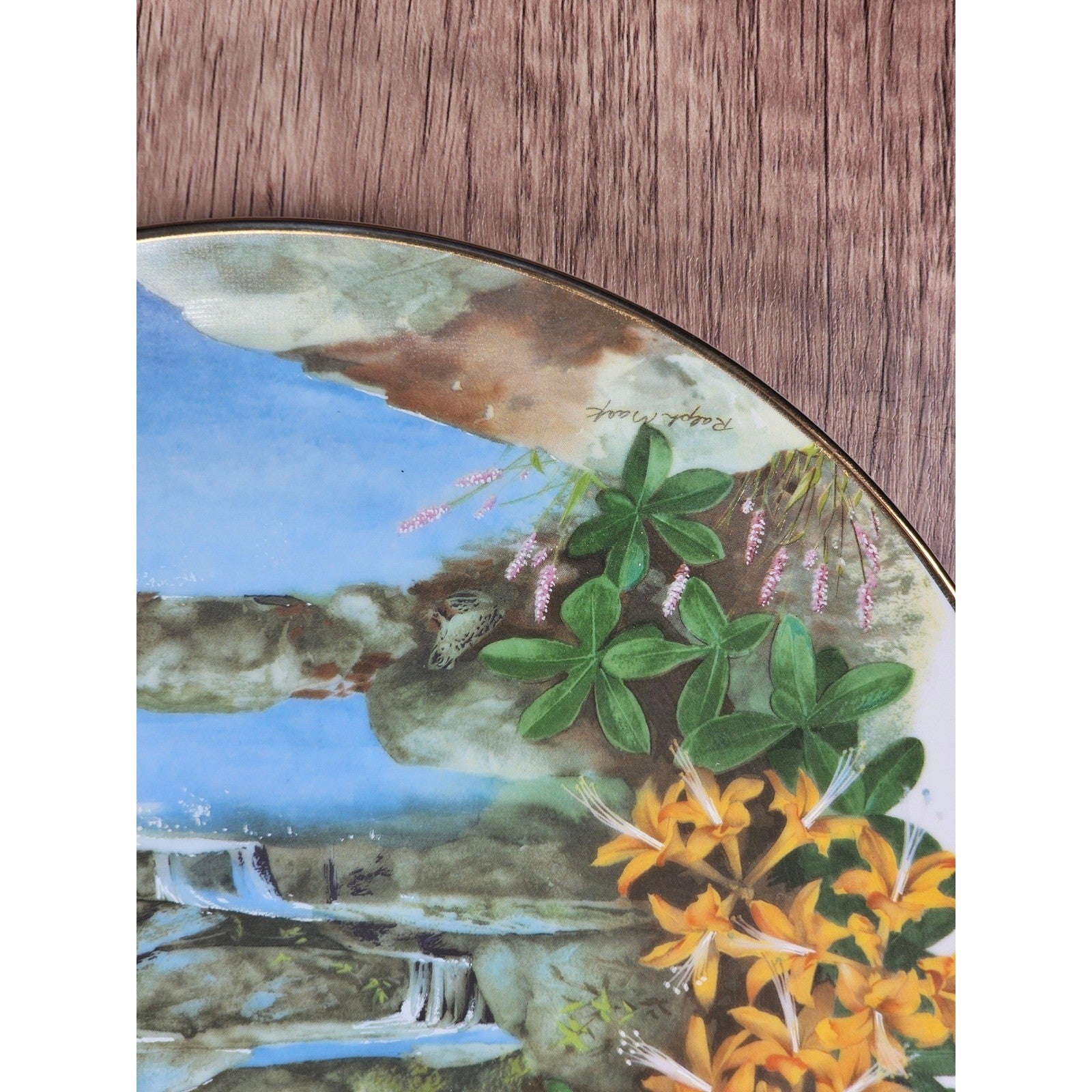 Royal Windsor Wild Honeysuckle Collector Plate Wildflowers of the South