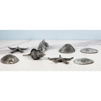 Set of 8 Sea Life Table Decor Sand Dollar Starfish Shell Coastal Decor