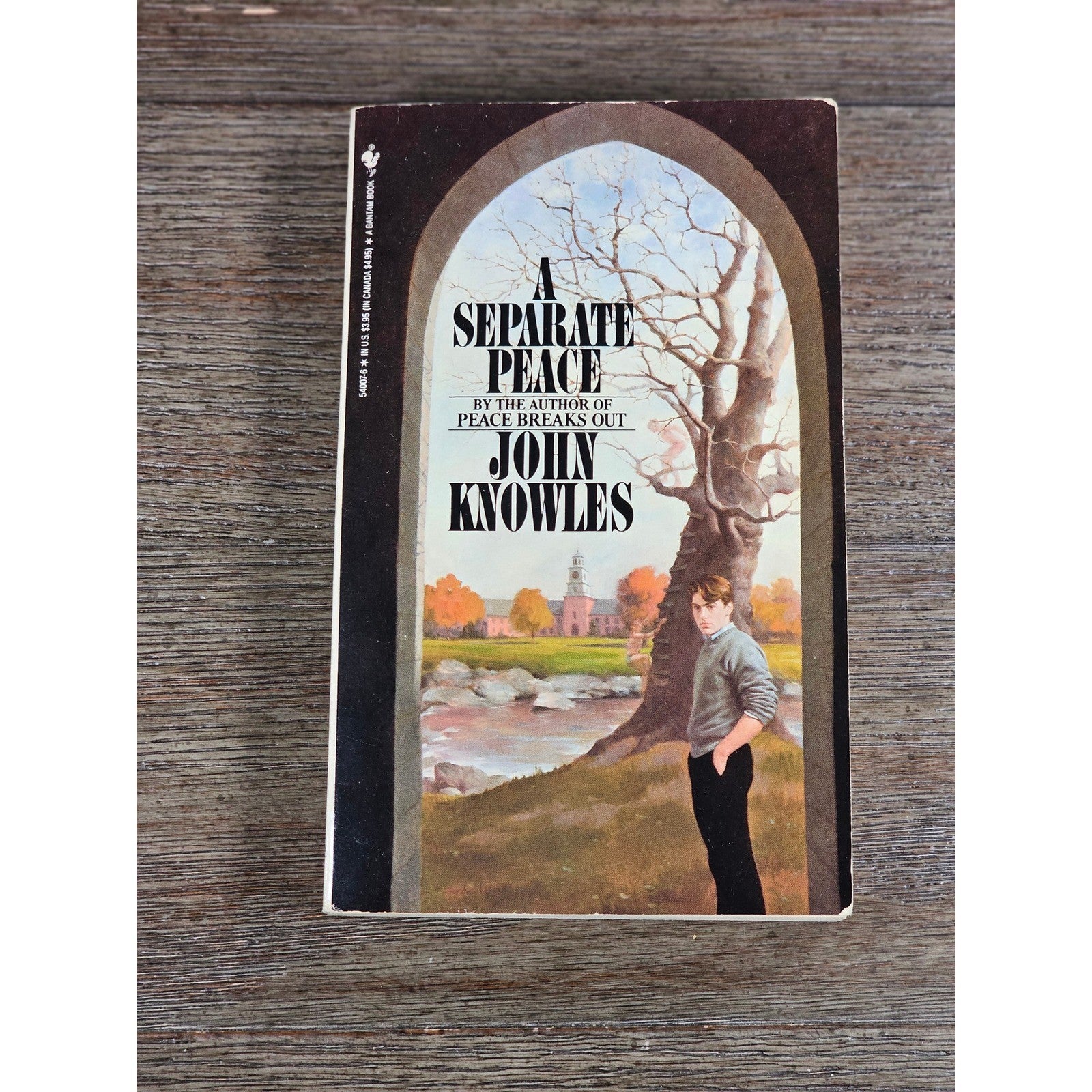 A Separate Peace John Knowles Bantam 1988 Paperback Vintage Novel