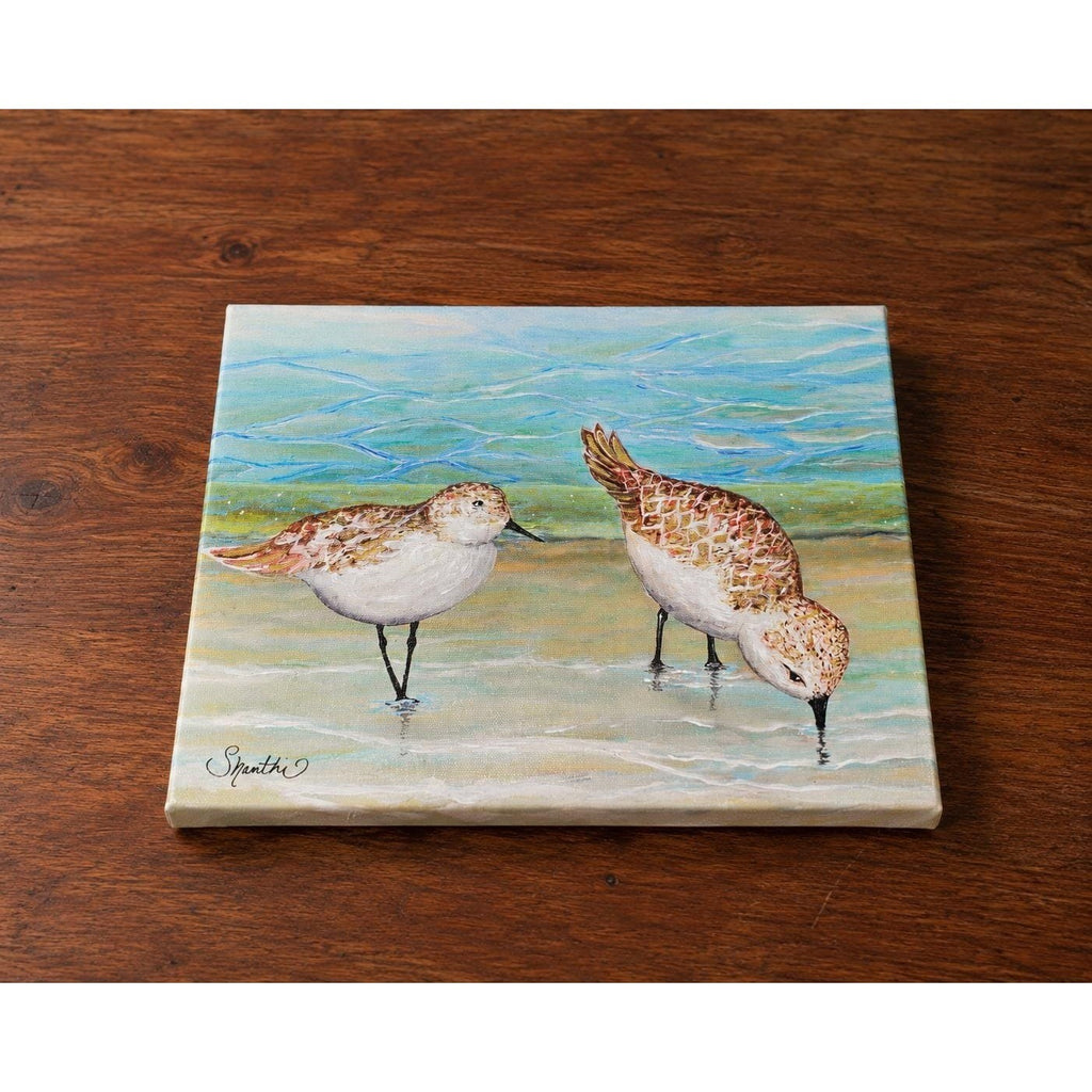 Original Signed Sandpiper Acrylic Painting Coastal Bird Canvas Art