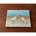 Original Signed Sandpiper Acrylic Painting Coastal Bird Canvas Art