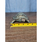 Cast Iron Turtle Decor Tabletop Accent Green Patina Coastal Figurine