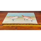 Original Coastal Sandpiper Acrylic Painting on Canvas Signed OOAK Wall Art