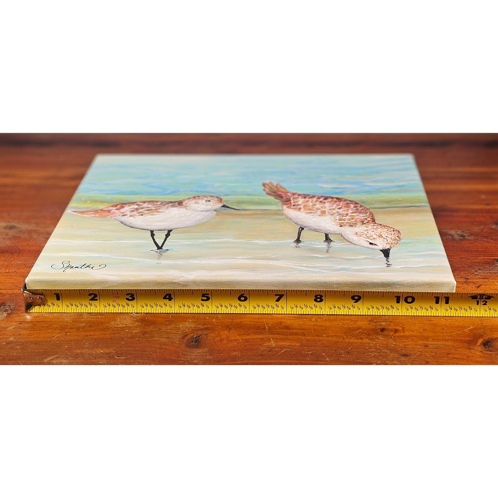 Original Coastal Sandpiper Acrylic Painting on Canvas Signed OOAK Wall Art