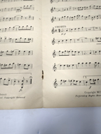 Antique 1916 Mandolin & Guitar Collection No. 17a – Louis Tocaben