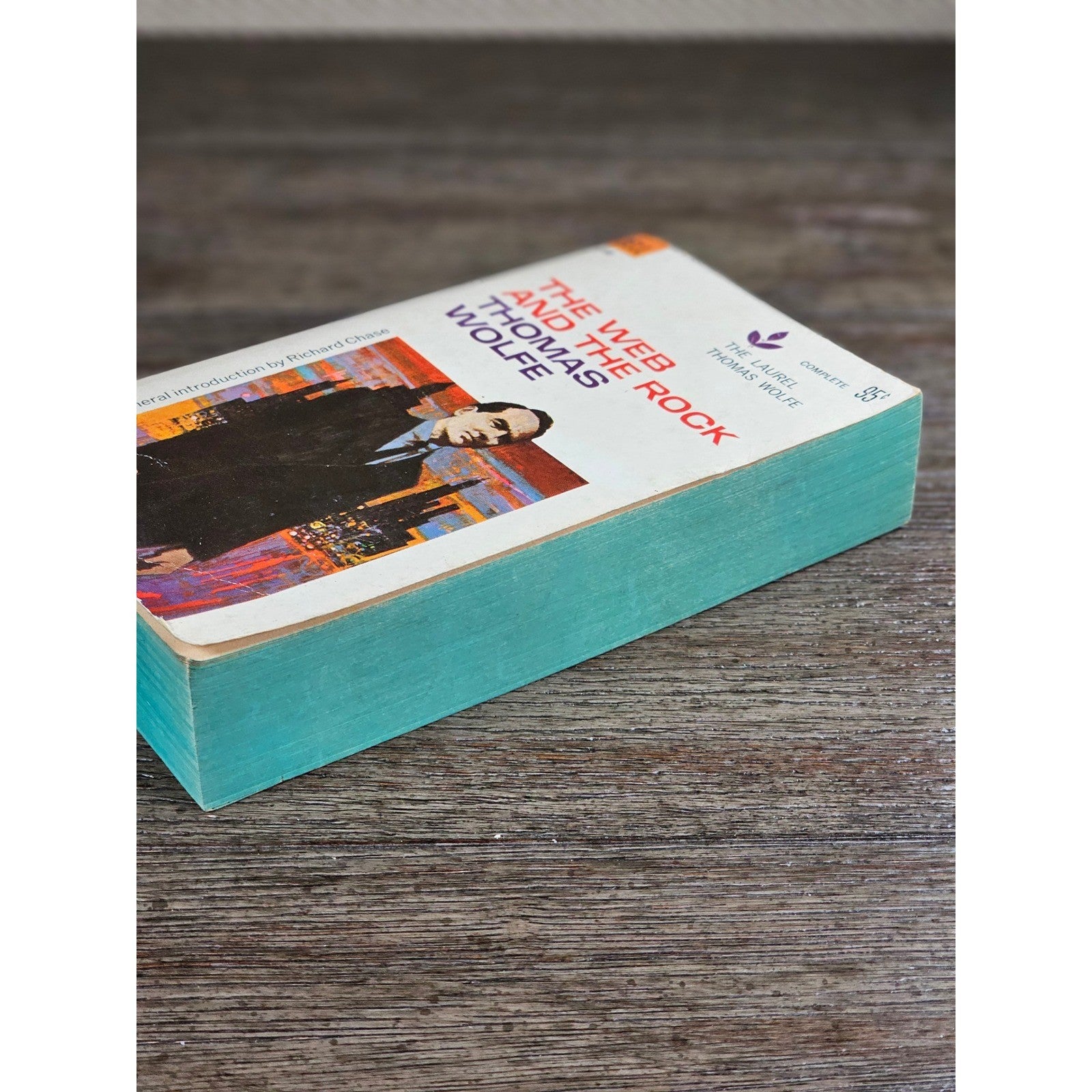 The Web and the Rock Thomas Wolfe 1960 Dell Paperback Vintage