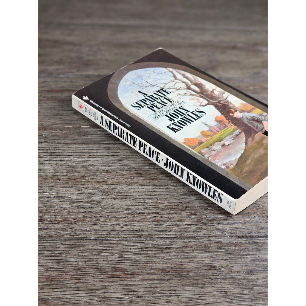 A Separate Peace John Knowles Bantam 1988 Paperback Vintage Novel