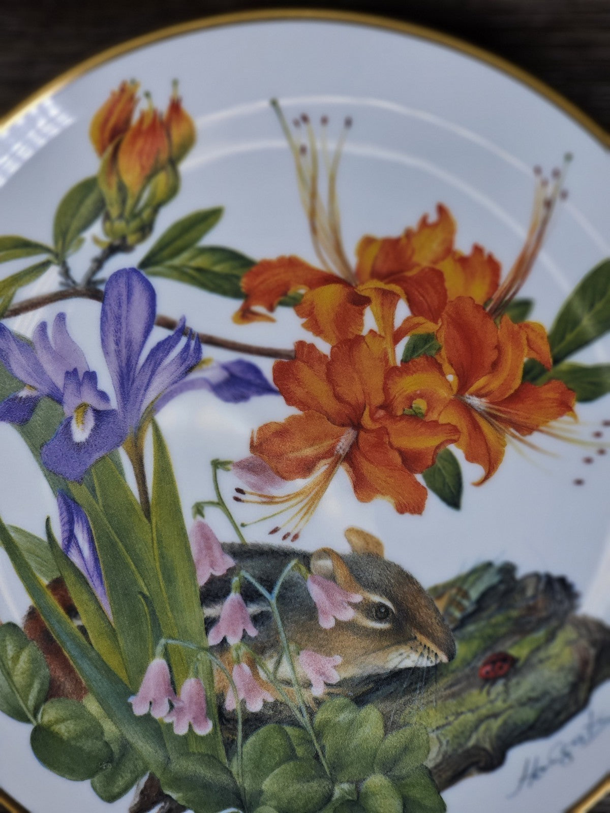 Franklin Mint Sierra Club Appalachian Wildflowers Collector Plate 1978