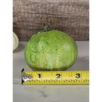 Set of 4 Mini Artificial Pumpkins & Gourds Autumn Fall Table Decor