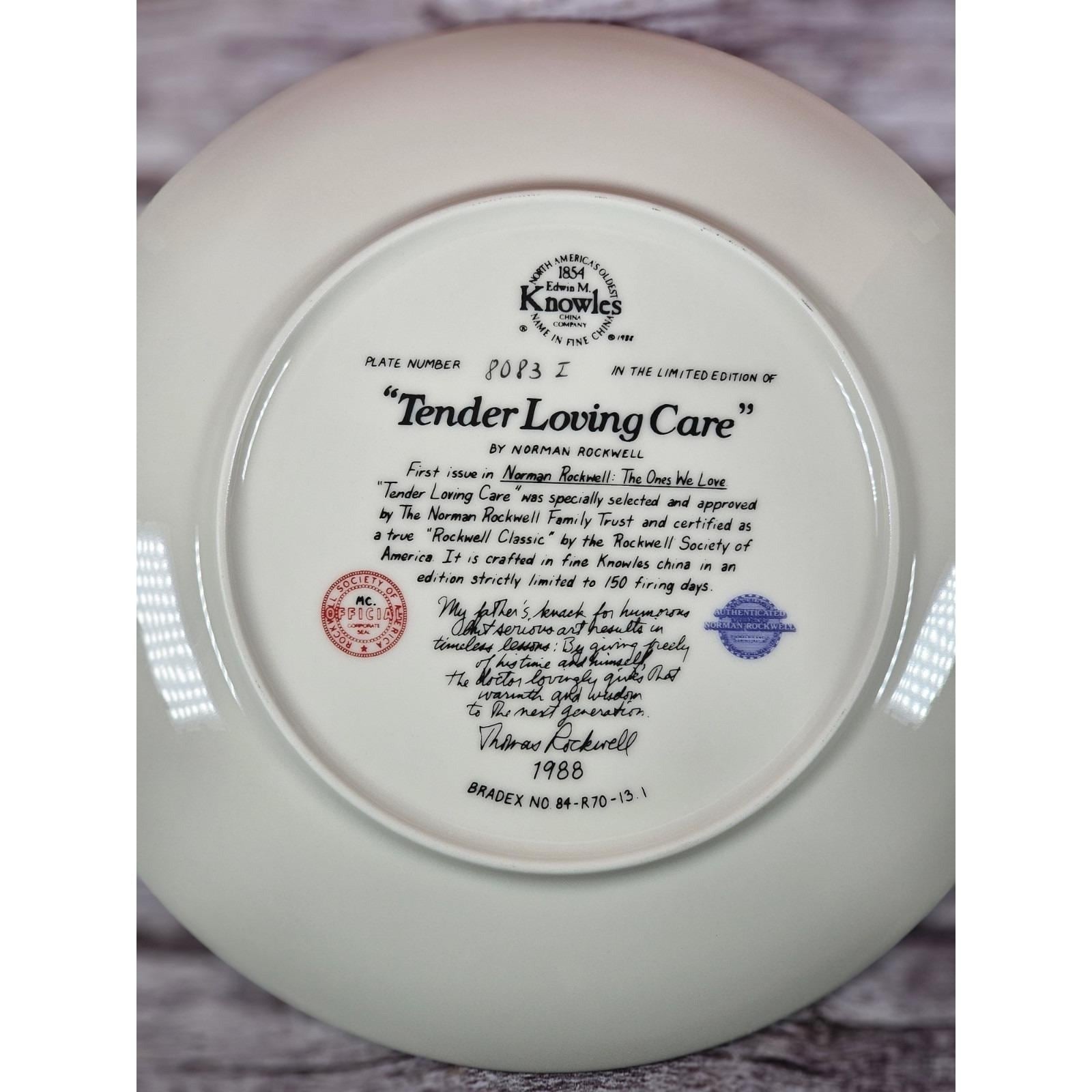 Vintage Norman Rockwell Tender Loving Care Collector Plate 1988 Knowles