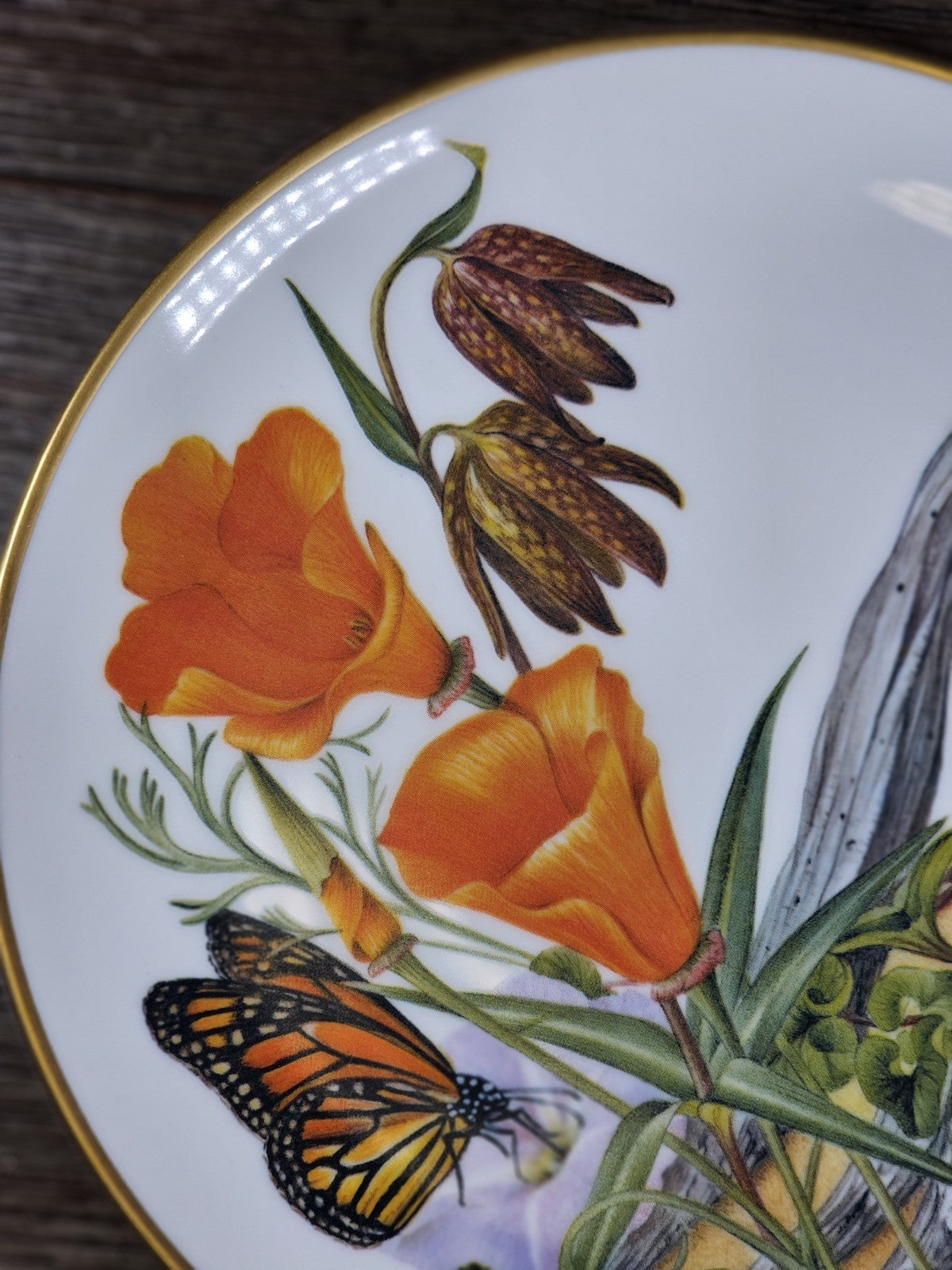 VTG Sierra Club Plate California Wildflowers Poppy Morning Glory Monarch 1978