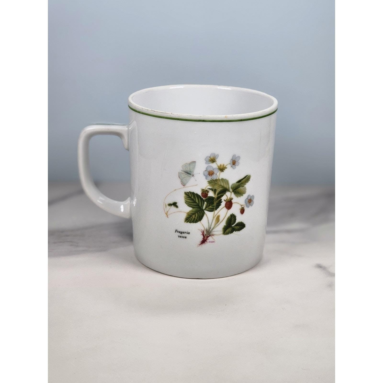 Vintage Lourioux French Porcelain Botanical Mug Sorbus Aucuparia