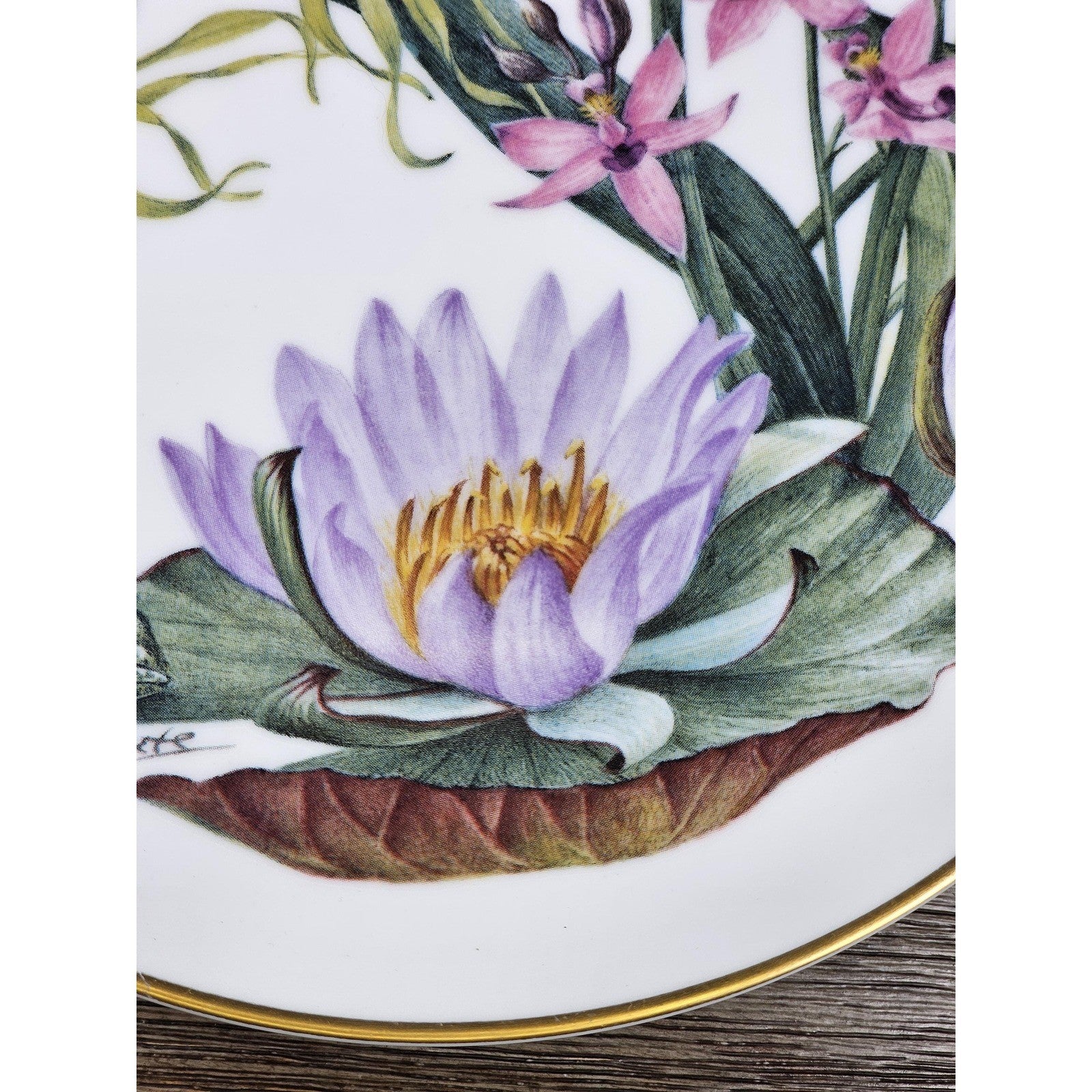 Franklin Mint Florida Everglades Wildflowers Plate 1978