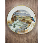 Vintage Franklin Porcelain Plate A Secluded Stream in November 1979