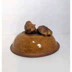 Ellen Evans Terrafirma Pottery Lid 1998 Garlic Brown Stoneware