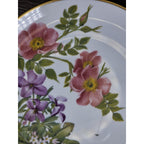 Franklin Mint Cape Cod Wildflowers Plate 1978 Porcelain