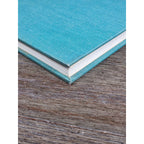 A Reed in the Wind 1970 First Edition Nora Kirwan Sterling HC