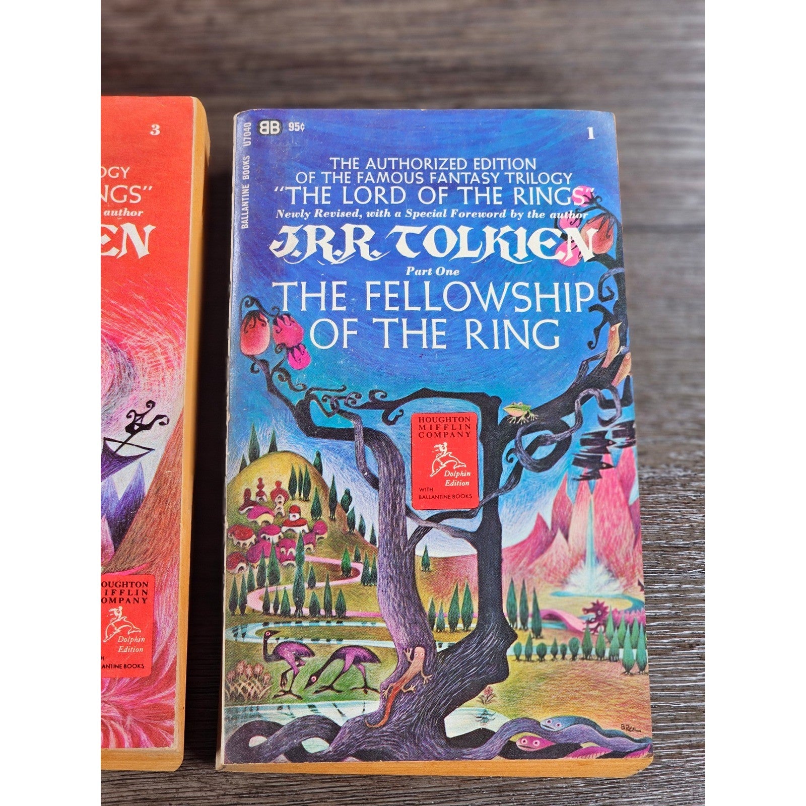 1965 Lord of the Rings Boxed Set Ballantine Paperback Trilogy