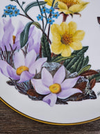 1978 Alaskan Wildflowers Plate – Sierra Club Wilderness Series – Franklin Porcel