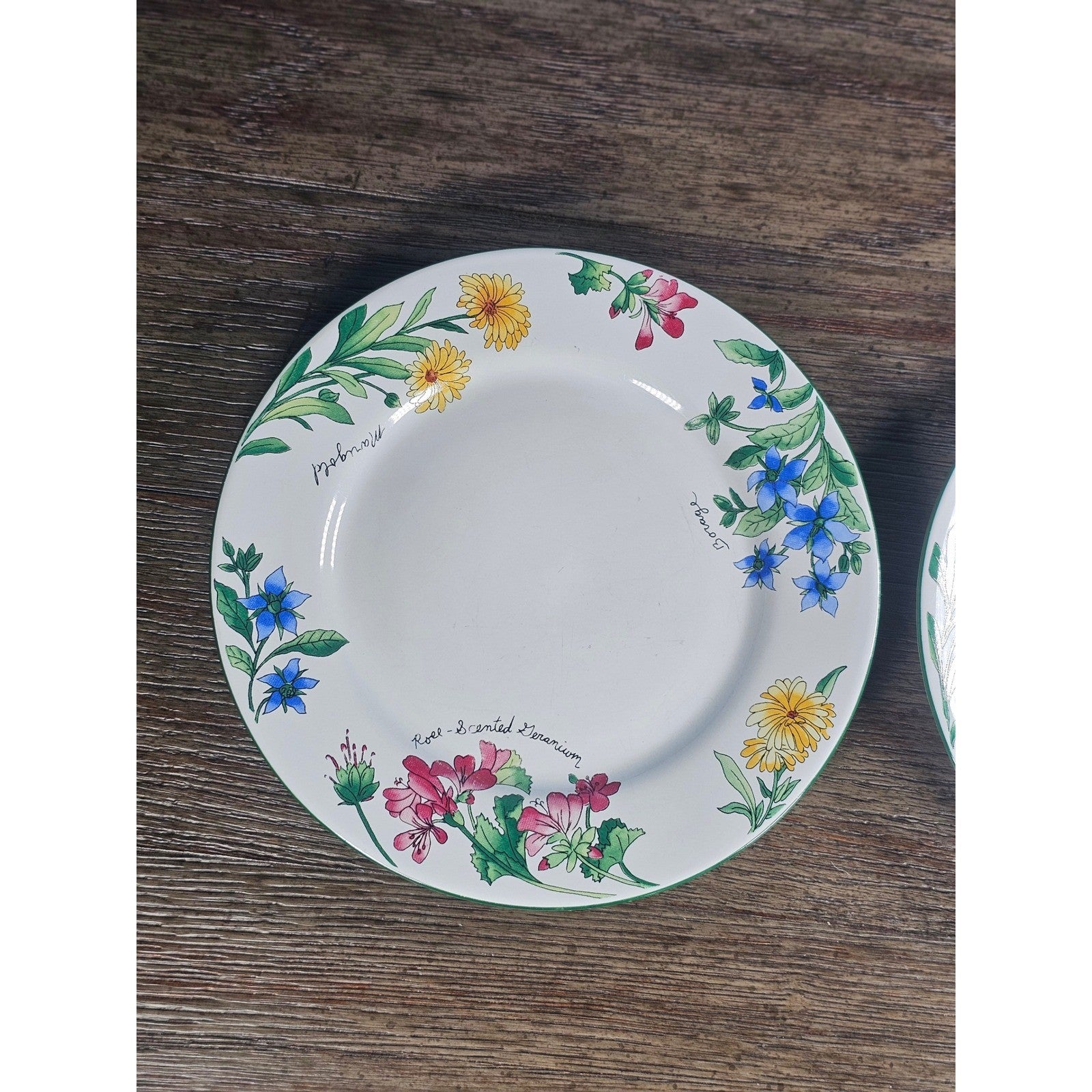 Vintage Majesticware Geranium Dessert Plates Set of 2 Sue Zipkin 8 Inch