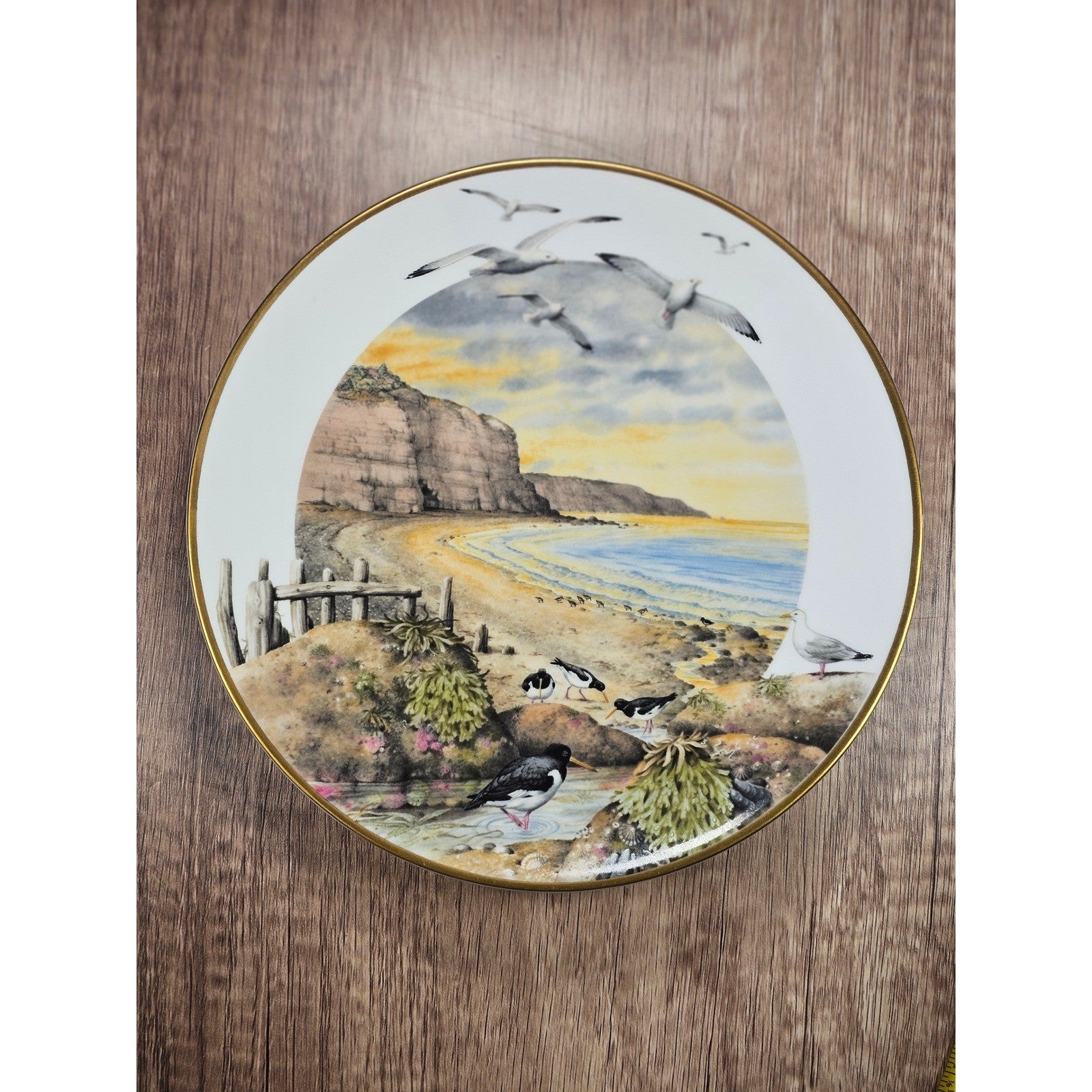 Franklin Porcelain February on the Coast Plate by Peter Barrett 9 Inch