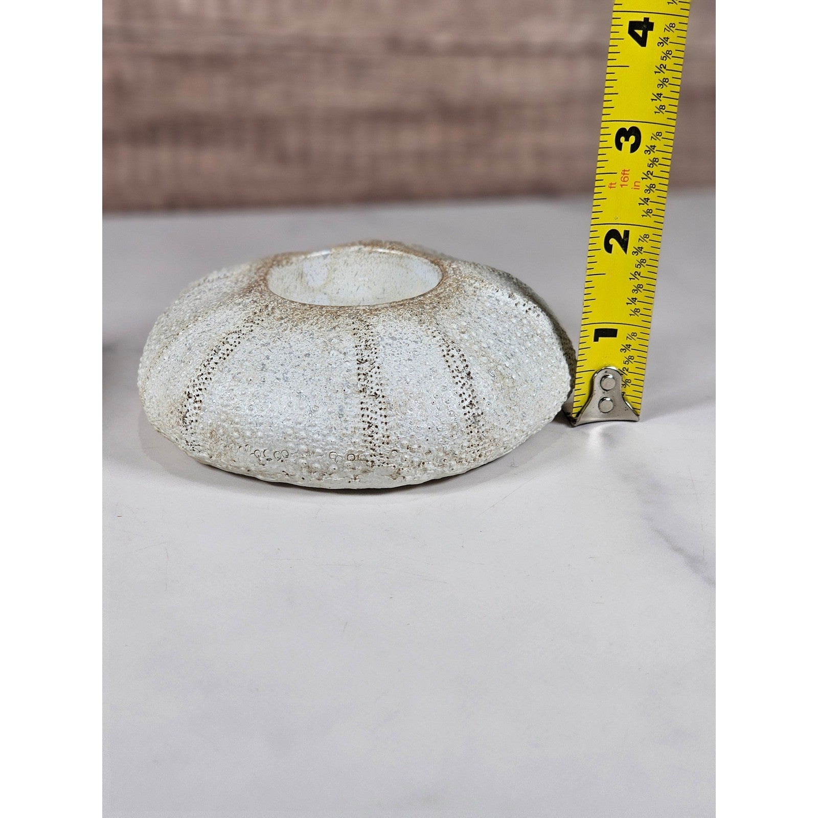 Vintage Sea Urchin Holders Set – Coastal Beach Decor – Textured Nautical Accents