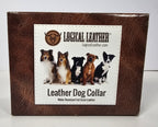 Logical Leather  Dog Collar Size Medium Green