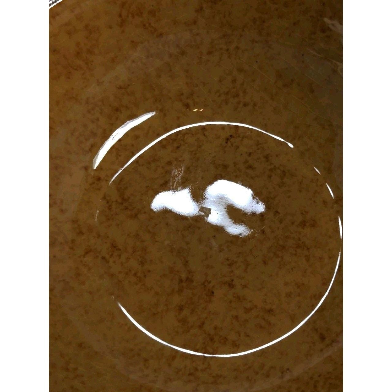 Ellen Evans Terrafirma Pottery Lid 1998 Garlic Brown Stoneware