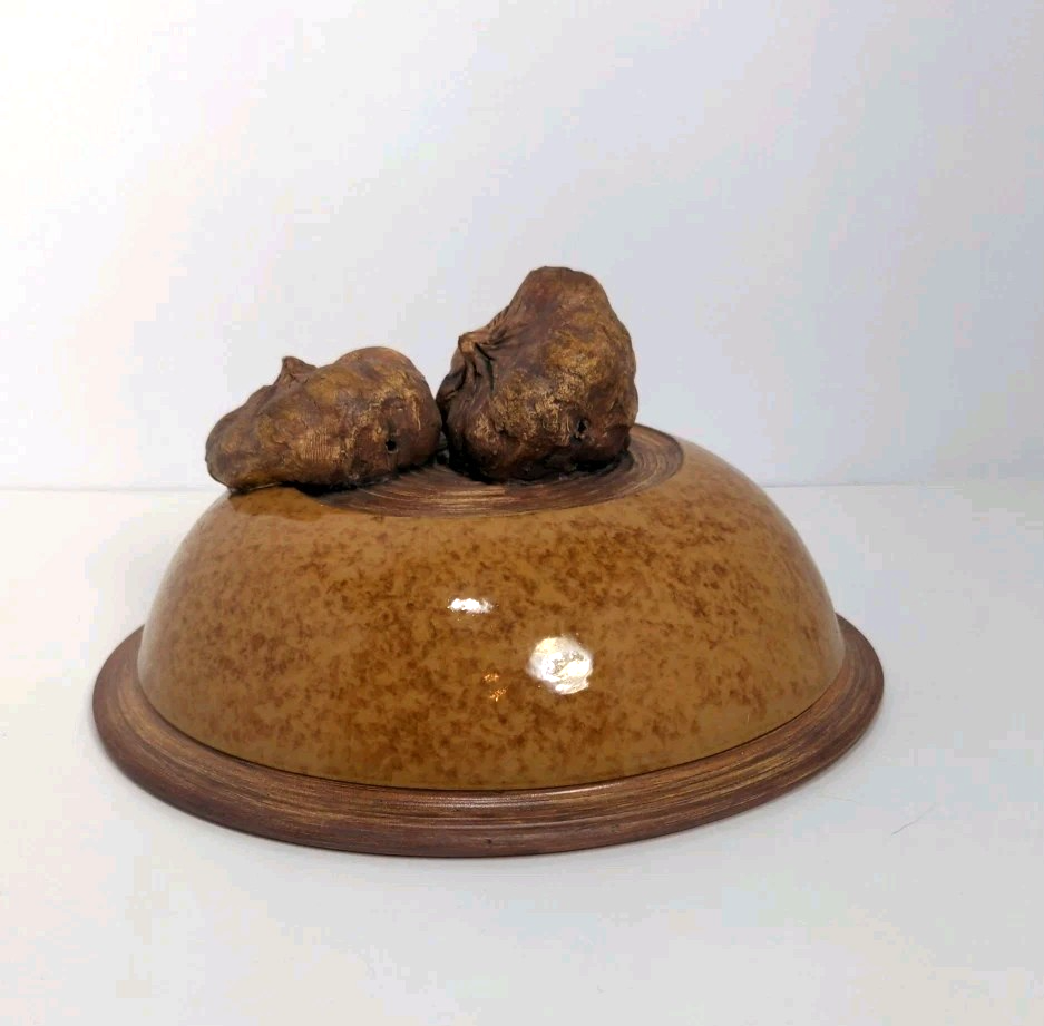 Terrafirma Ellen Evans Pottery 1998 Lid Garlic Brown Glaze Ceramic Covered Bowl