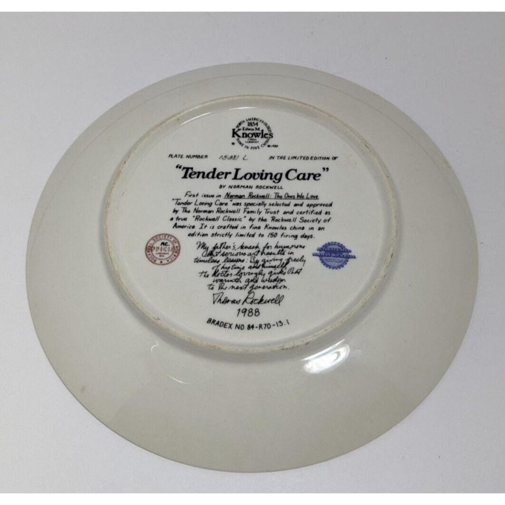 Norman Rockwell Tender Loving Care Knowles Plate 1988 Limited Edition