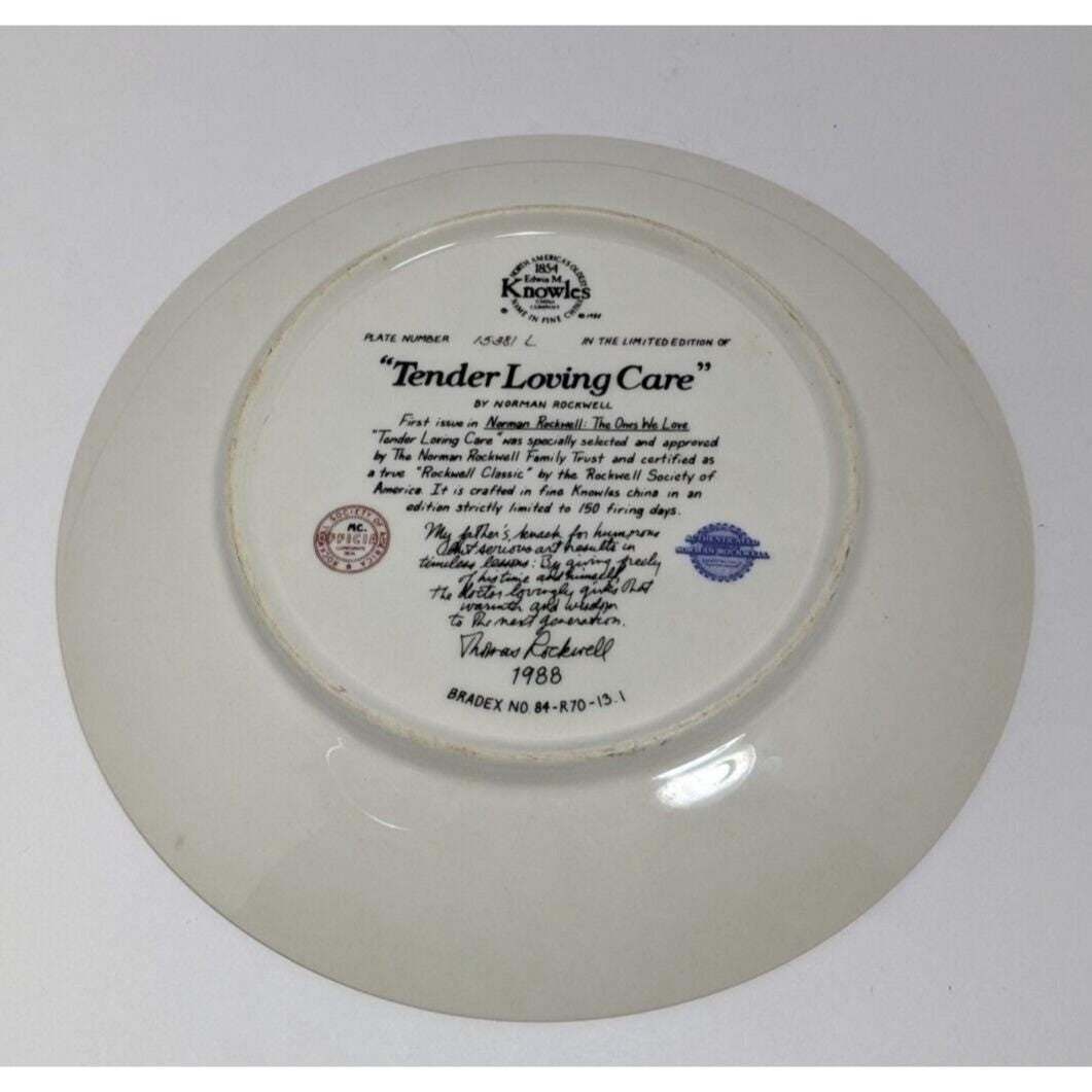 Norman Rockwell Tender Loving Care Knowles Plate 1988 Limited Edition