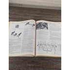 Honda Civic Del Sol Haynes Repair Manual 1992-1995 SOHC Models