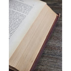 1880 Life of Zachariah Chandler Hardcover Detroit Post Tribune