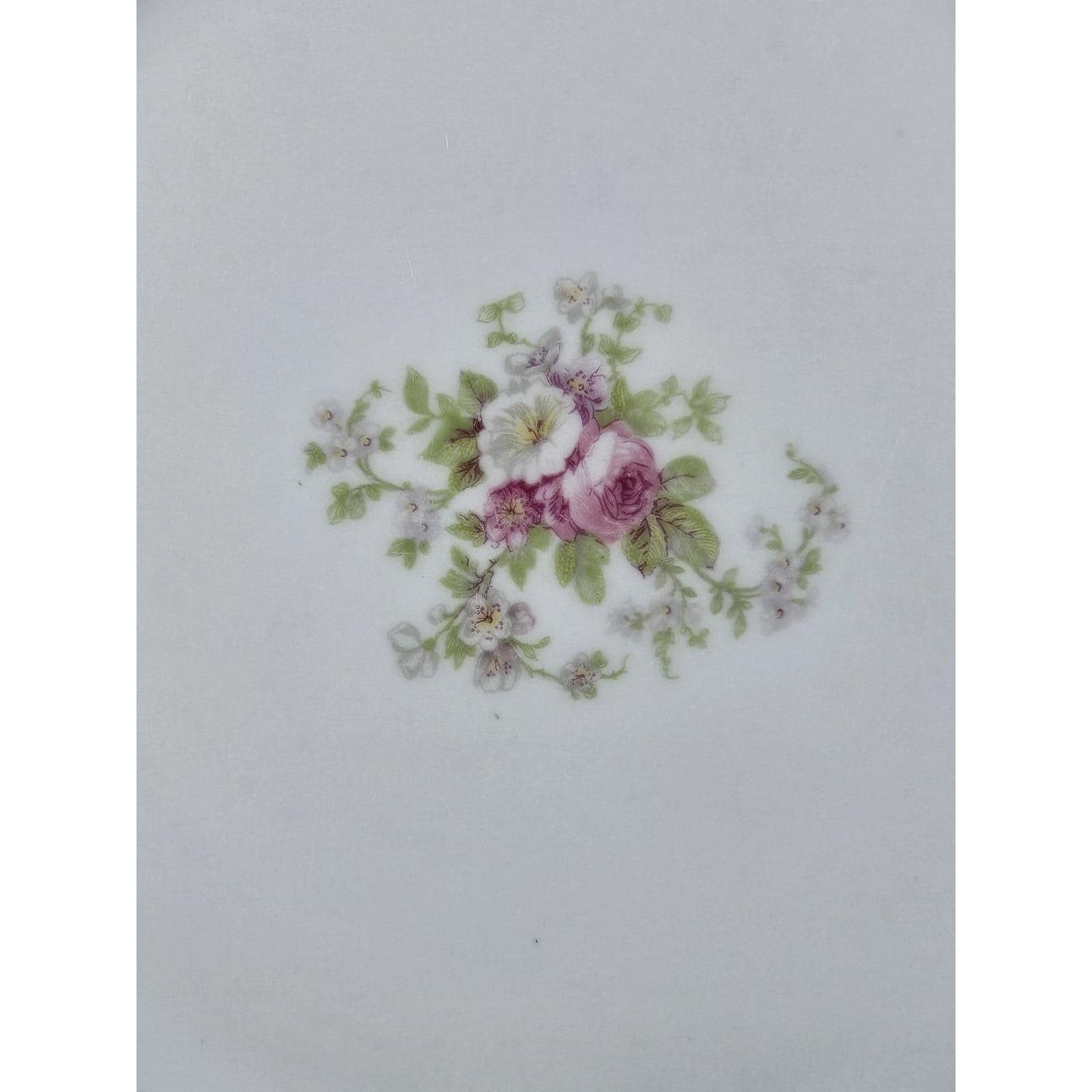 Royal Elite Limoges France Plate 9.5 Inch Vintage