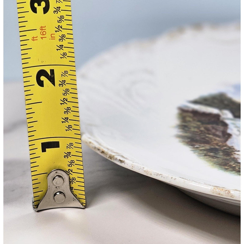 Vintage Niagara Falls Prospect Point Souvenir Plate 8" Scenic Collectible