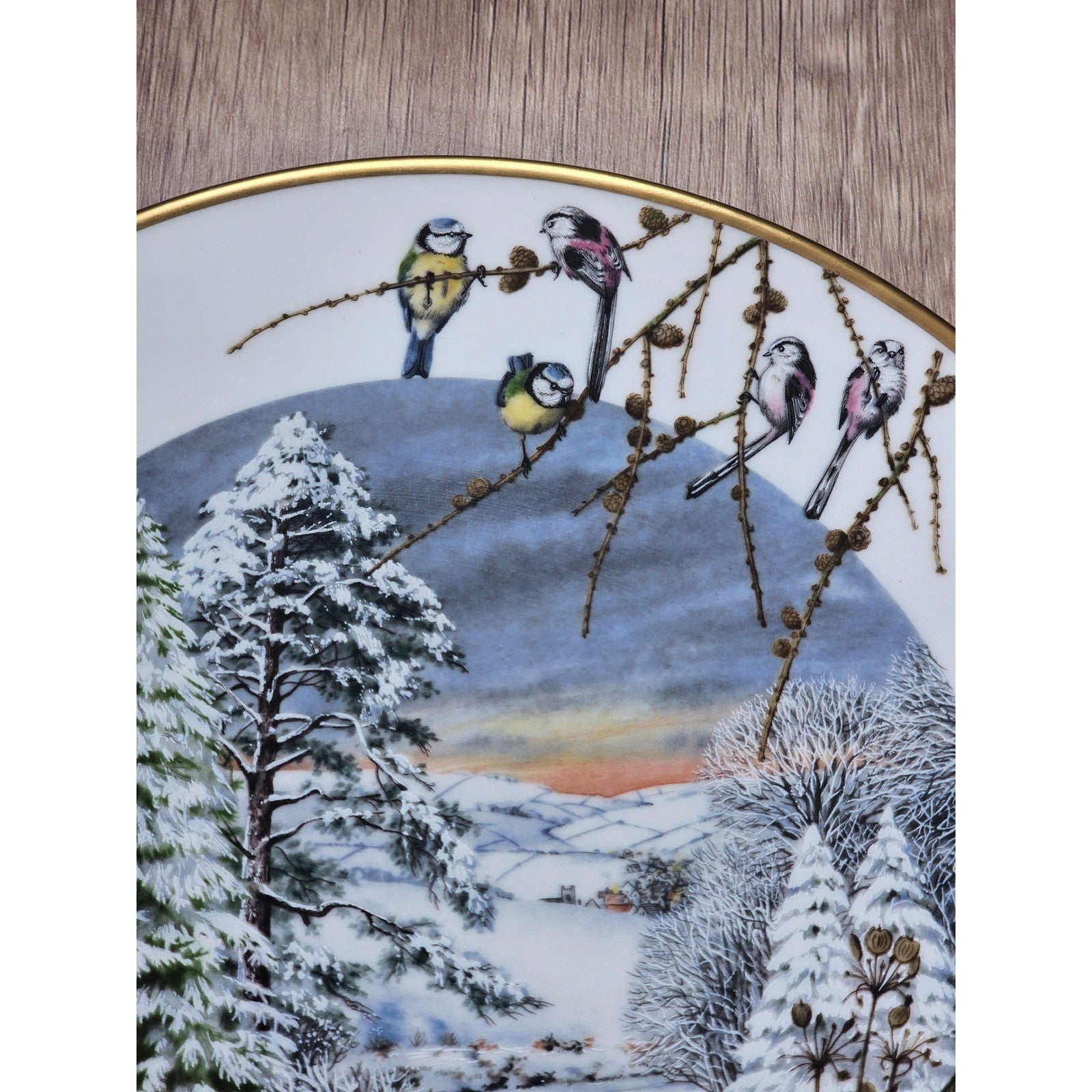 Franklin Porcelain Winter Bird Plate A Country Lane in December 1979