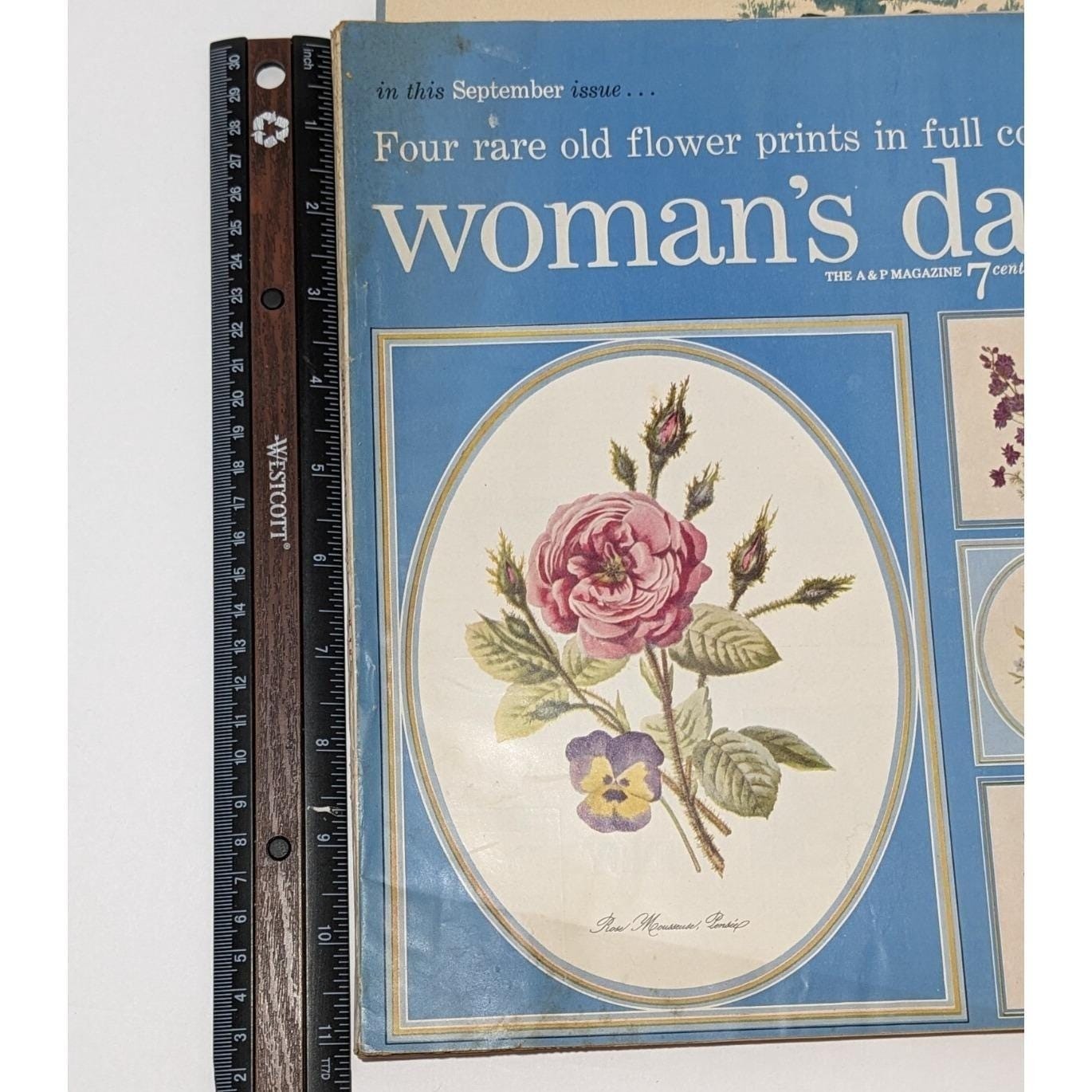 1954 Womans Day Magazine September Vintage Floral Prints Ephemera