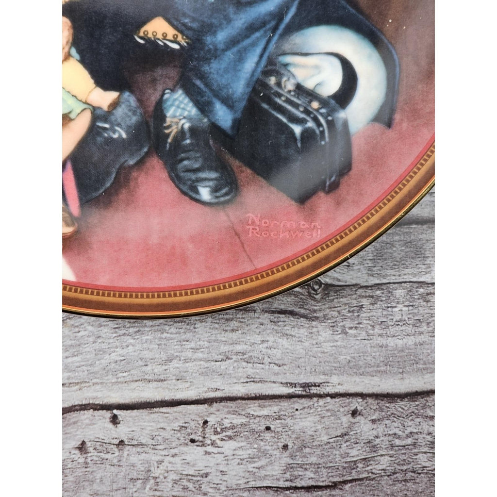 Vintage Norman Rockwell Tender Loving Care Collector Plate 1988 Knowles