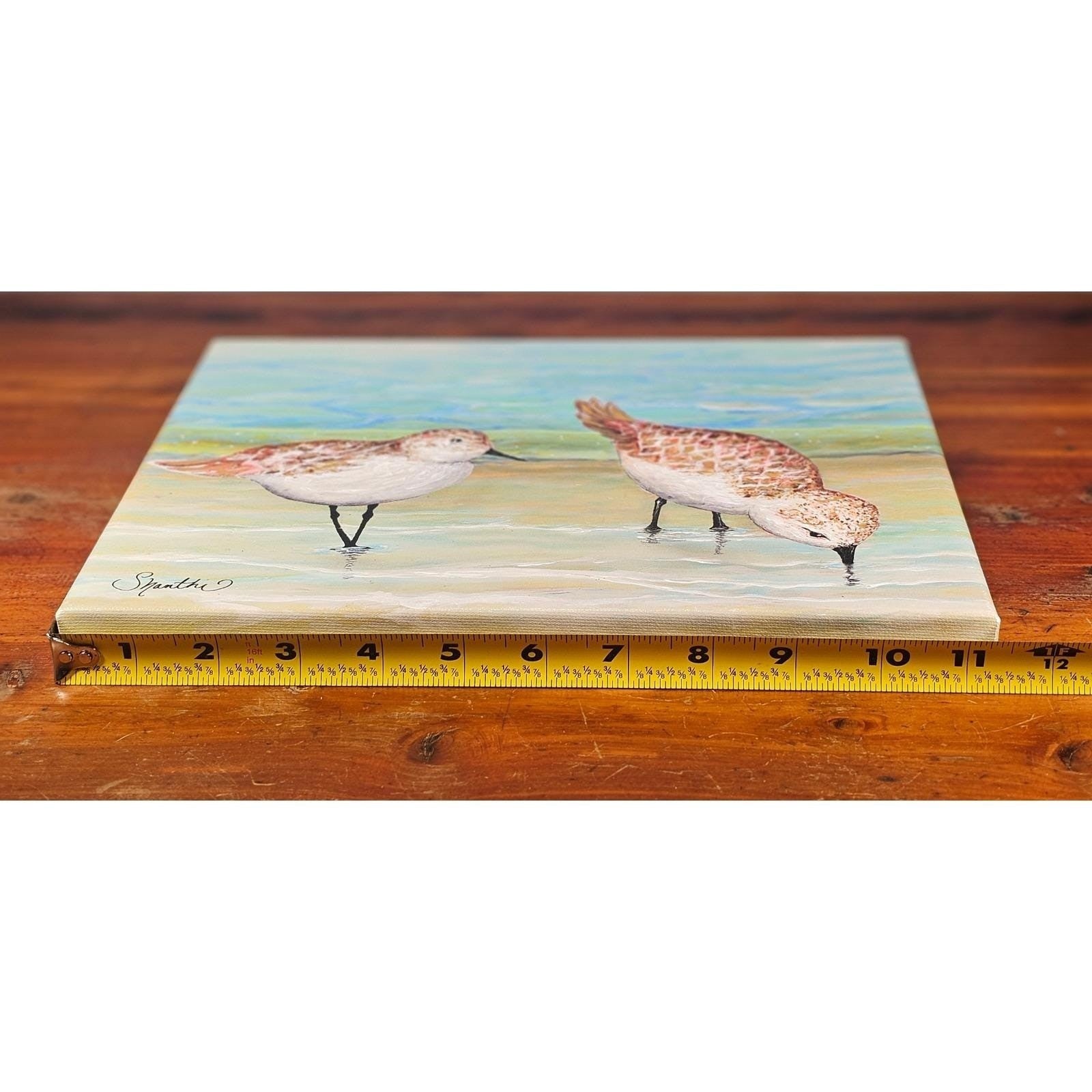 Original Signed Sandpiper Acrylic Painting Coastal Bird Canvas Art