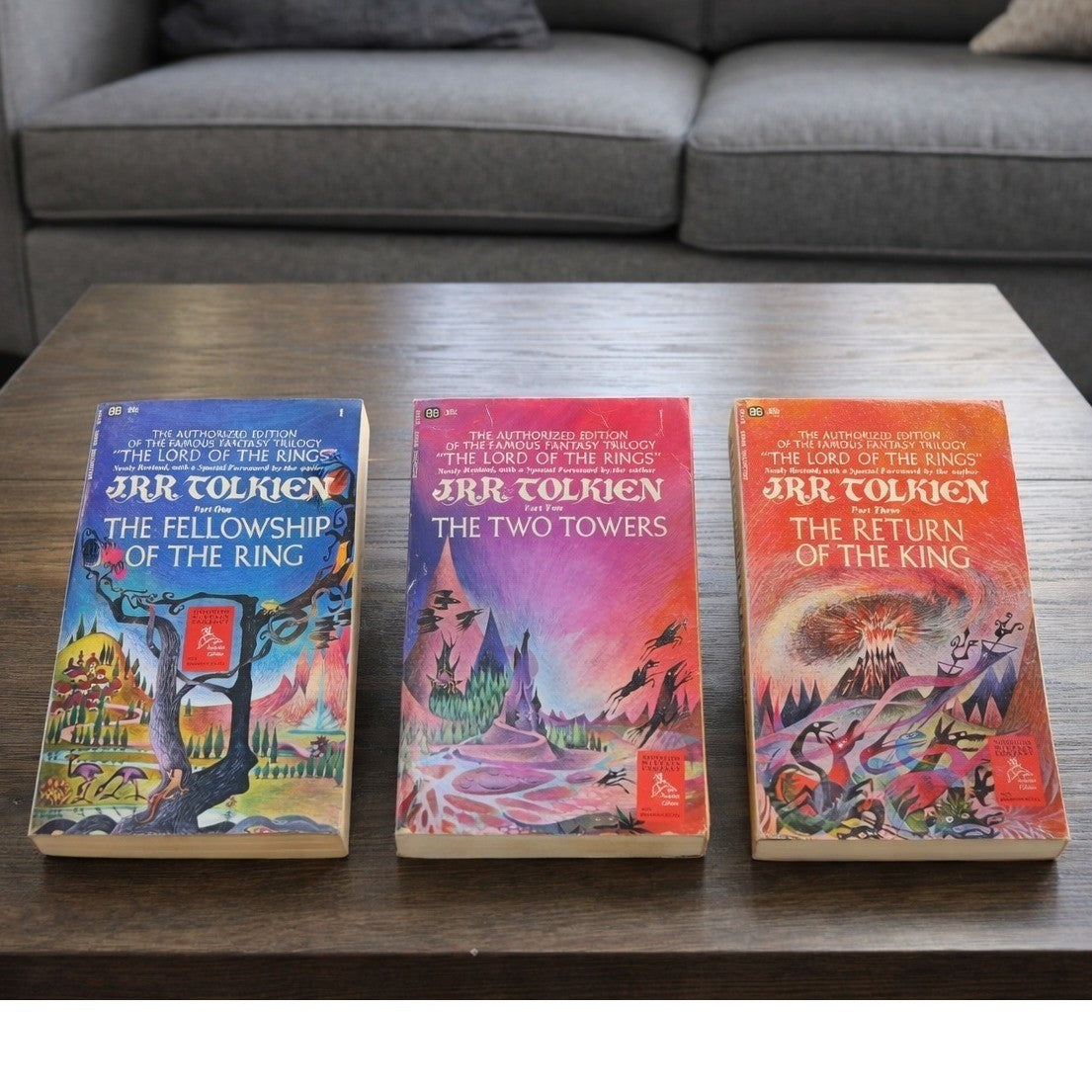 1965 Lord of the Rings Boxed Set Ballantine Paperback Trilogy