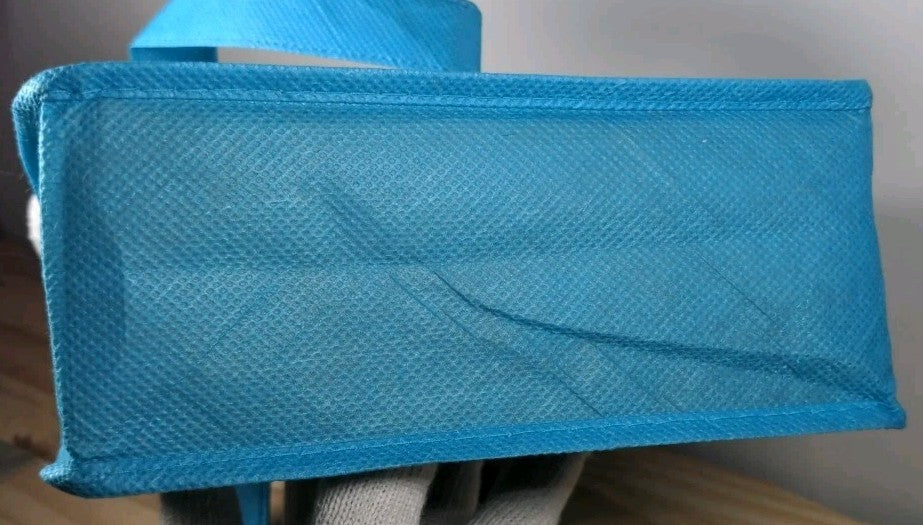 Disney Mickey Mouse Plush in Blue Tote Bag 12" Disney Collectible