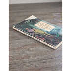The Light in the Forest Conrad Richter Bantam 1968 Paperback
