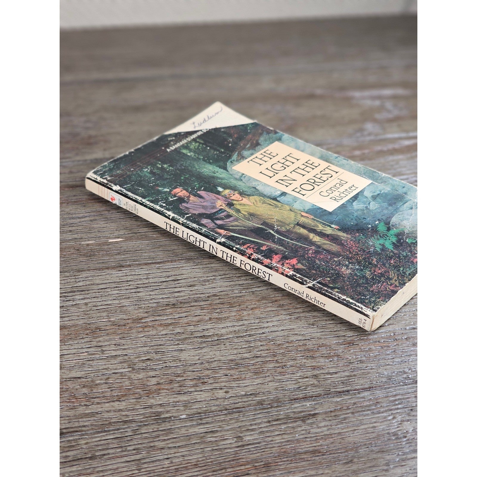 The Light in the Forest Conrad Richter Bantam 1968 Paperback