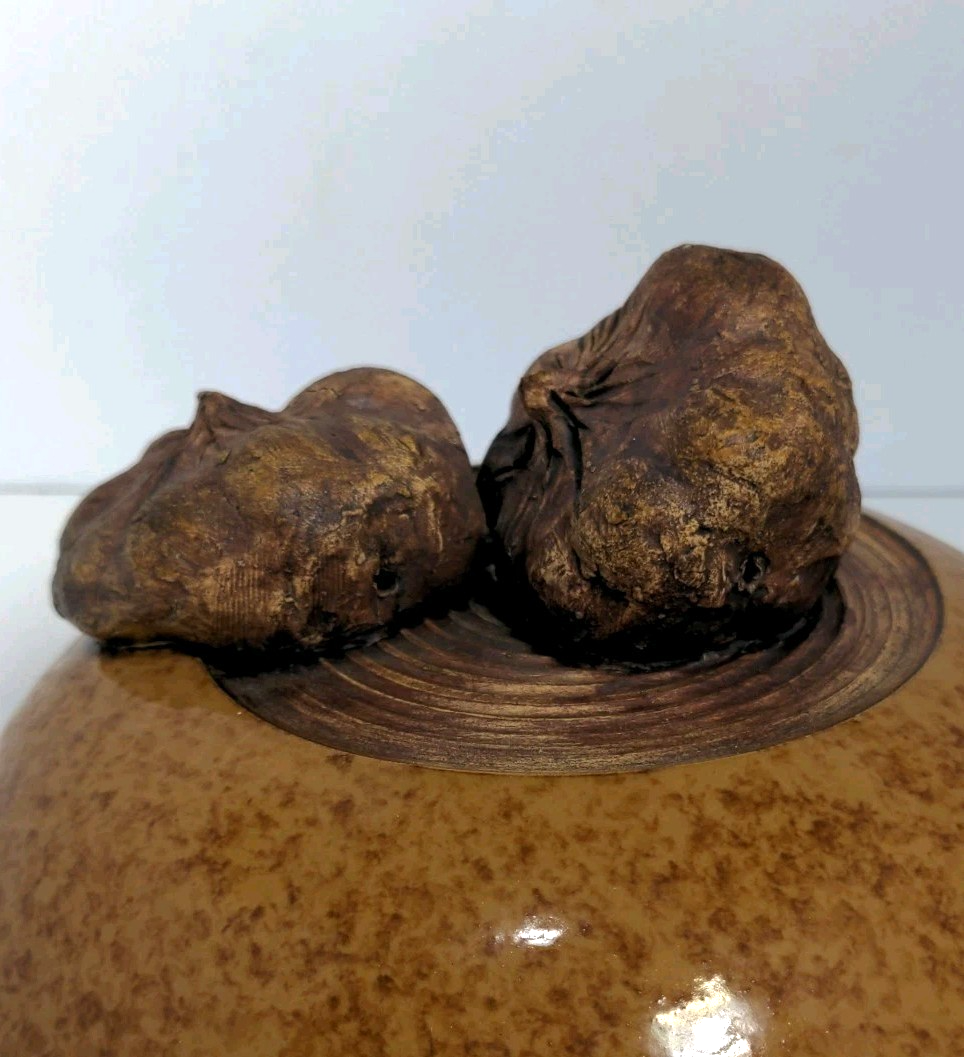 Terrafirma Ellen Evans Pottery 1998 Lid Garlic Brown Glaze Ceramic Covered Bowl